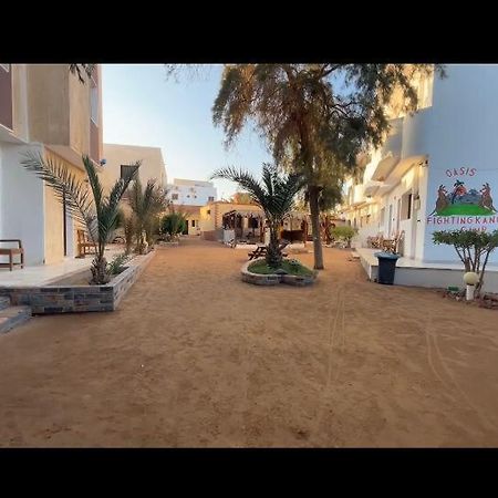 Hotel Oasis Fighting Kangaroo Dahab Zewnętrze zdjęcie