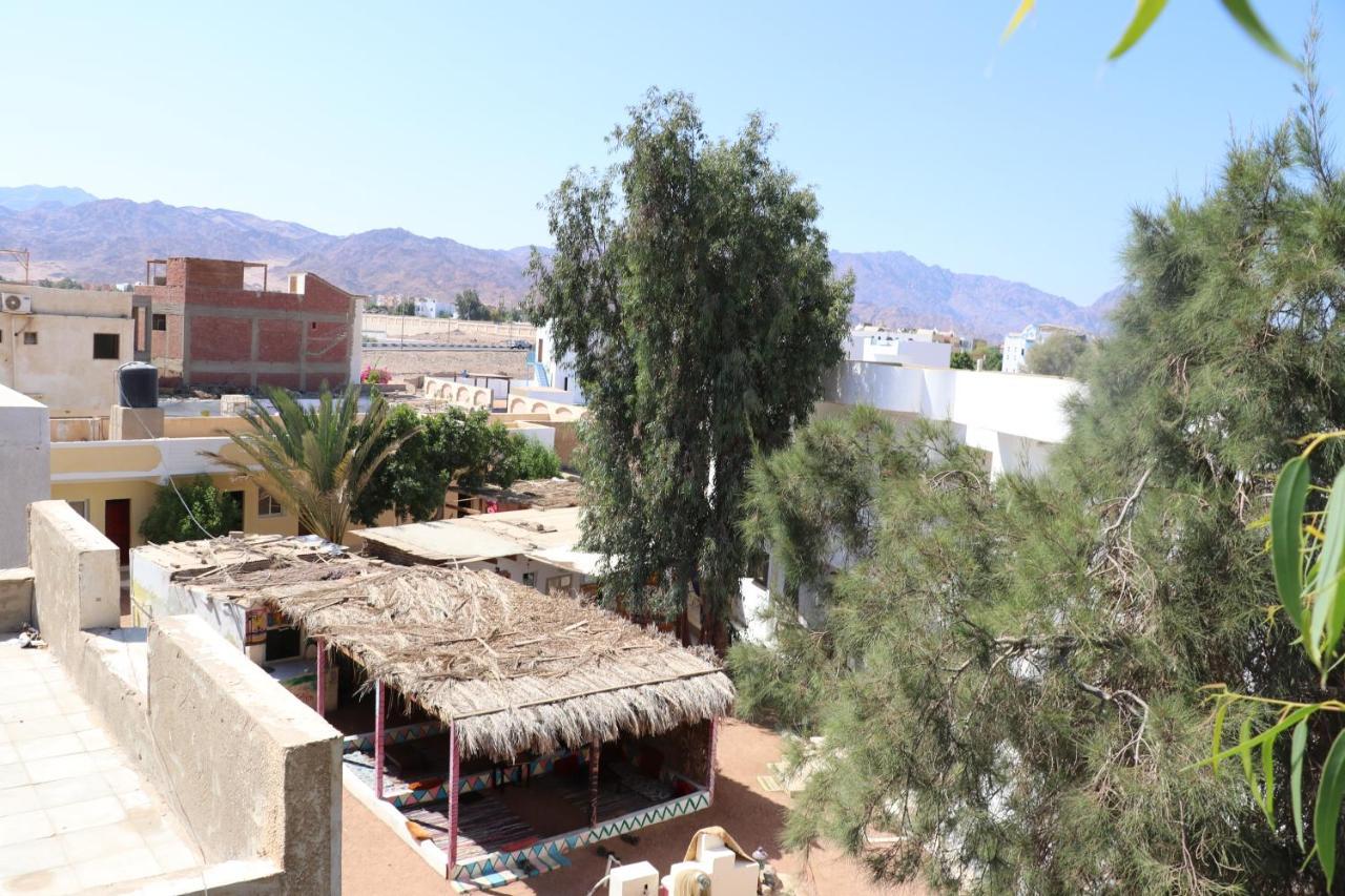 Hotel Oasis Fighting Kangaroo Dahab Zewnętrze zdjęcie