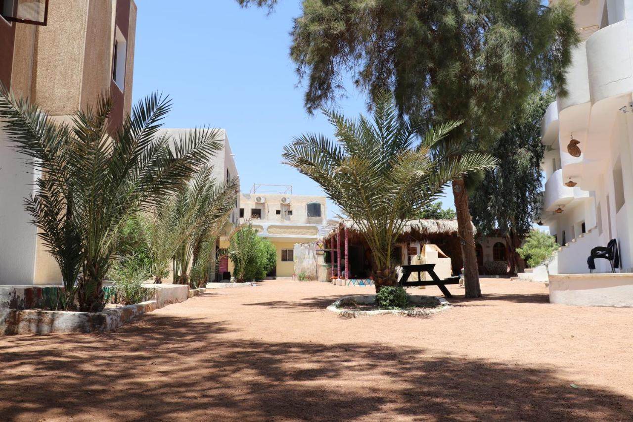 Hotel Oasis Fighting Kangaroo Dahab Zewnętrze zdjęcie