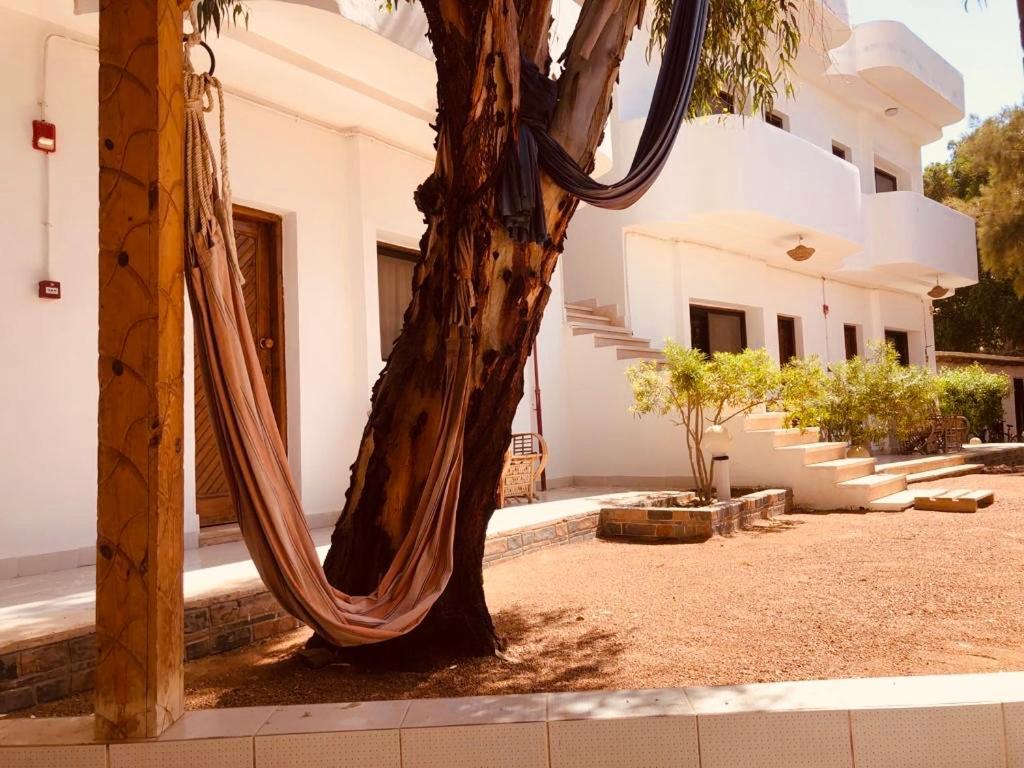 Hotel Oasis Fighting Kangaroo Dahab Zewnętrze zdjęcie